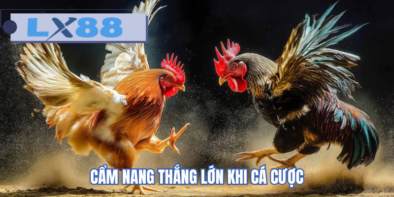 Cẩm nang thắng lớn khi cá cược