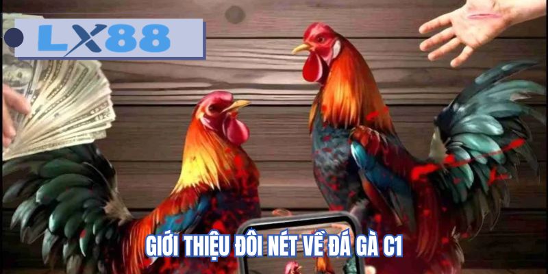 Giới thiệu đôi nét về đá gà C1