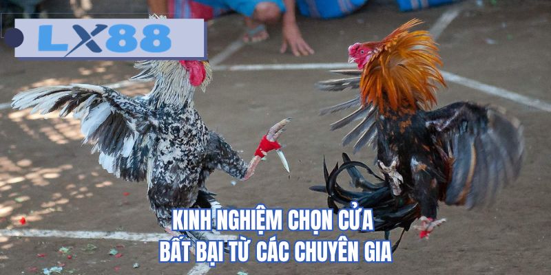 Kinh nghiệm chọn cửa bất bại từ các chuyên gia