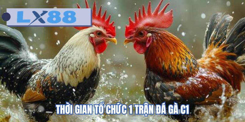 Thời gian tổ chức 1 trận đá gà C1