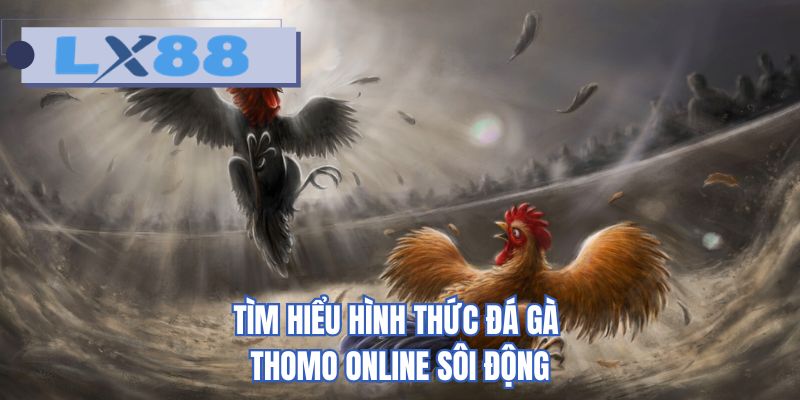 Tìm hiểu hình thức đá gà thomo online sôi động